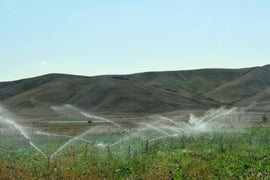 TRANSFORMANDO CULTIVOS CON RESULTADOS SOSTENIBLES DESDE EL AGUA